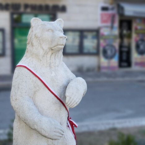 Dlaczego niedźwiedź Wojtek z Cassino jest białym niedźwiedziem?