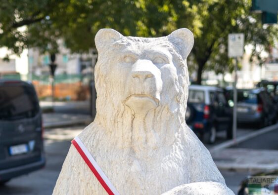 Niedźwiedź Wojtek z Cassino - dlaczego jest białym niedźwiedziem>