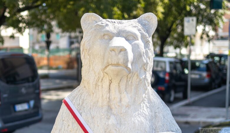 Niedźwiedź Wojtek z Cassino - dlaczego jest białym niedźwiedziem>