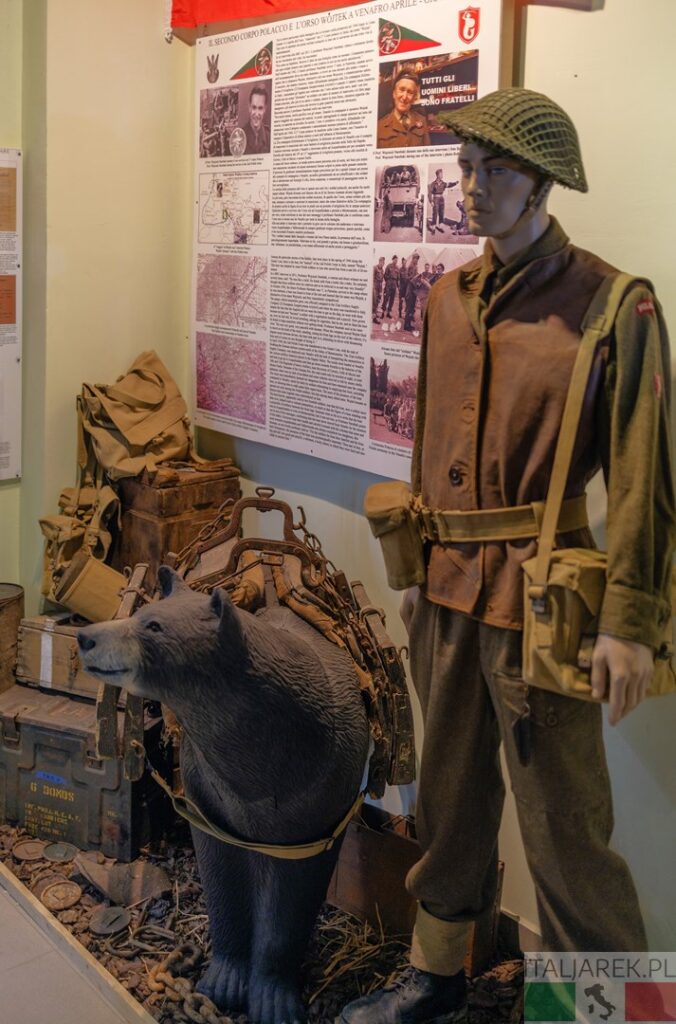 Niedźwiedź Wojtek w Muzeum Winterline