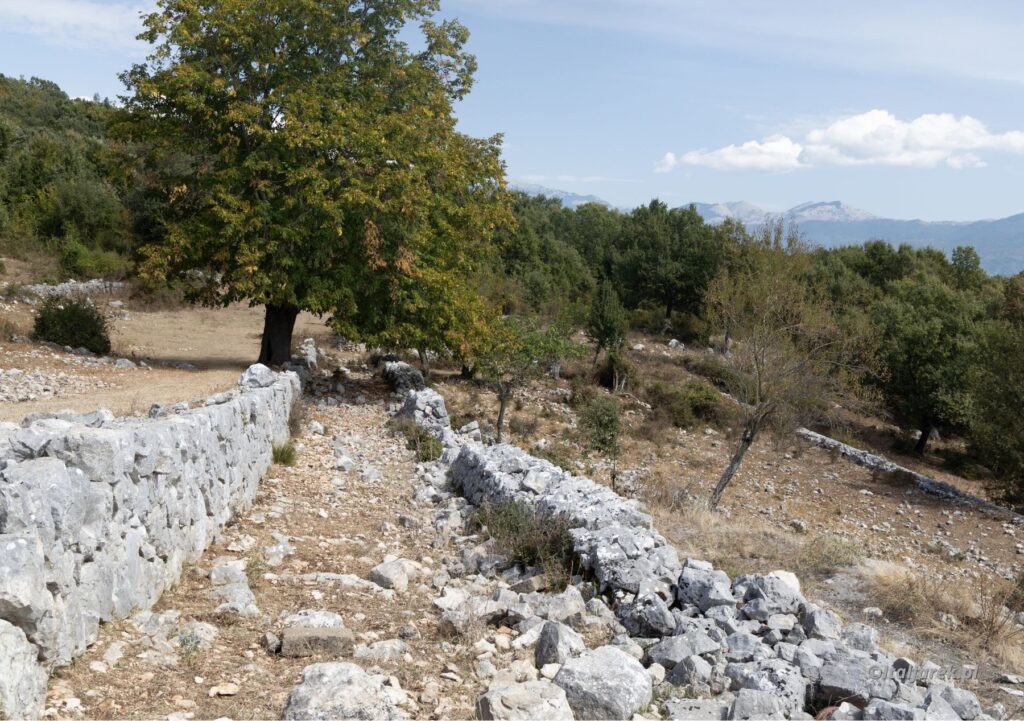 Wrzesień w okolicach Monte Cassino