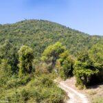 Wzgórze 575 - widok od Mass Albaneta