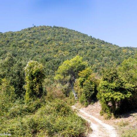 Od Tobruku po Monte Cassino. Ostatni meldunek mjr. Ludwika Rawicza-Rojka