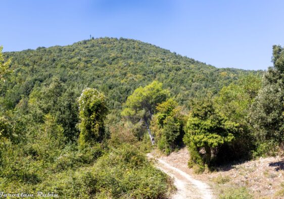 Wzgórze 575 - widok od Mass Albaneta
