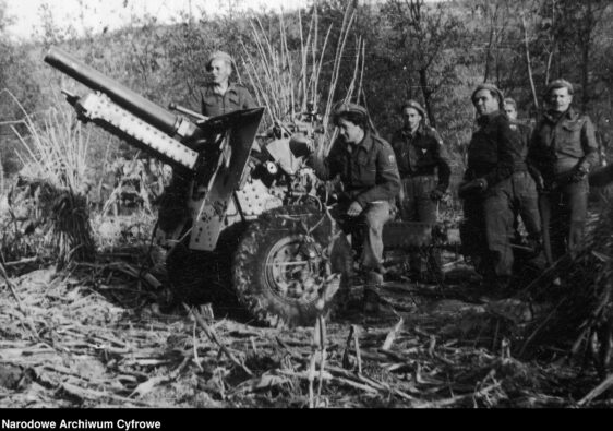 Artylerzyści 3 DSK - Monte Cassino i okolice