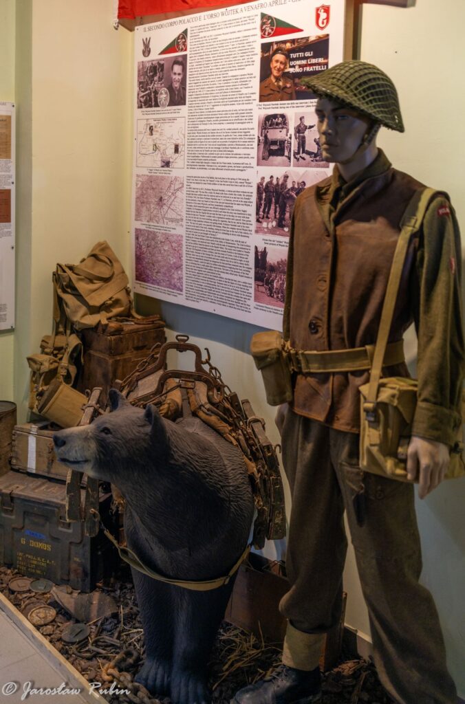 Niedźwiedź Wojtek w Muzeum Winterline