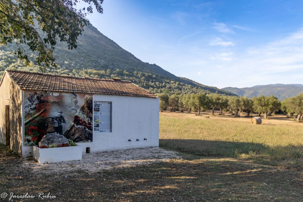 Pomnik niedźwiedzia Wojtka w Venafro w miejscu stacjonowania 22 Kompanii Zaopatrywania Artylerii