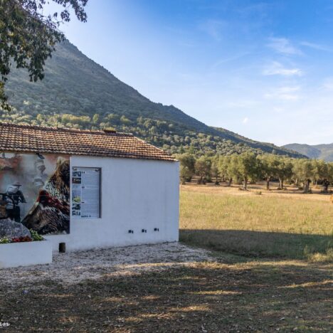 Wyrusz śladami swoich bliskich z 2 Korpusu Polskiego – przewodnik po okolicach Monte Cassino