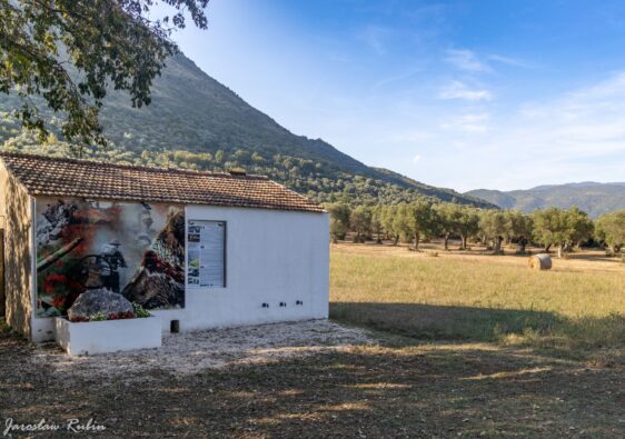 Pomnik niedźwiedzia Wojtka w Venafro w miejscu stacjonowania 22 Kompanii Zaopatrywania Artylerii