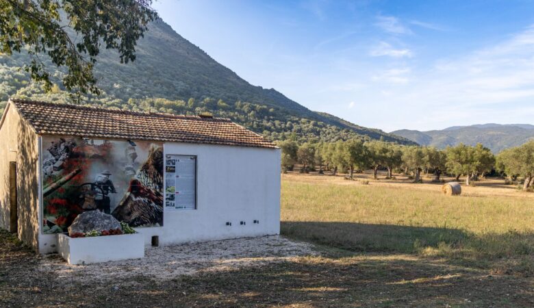 Pomnik niedźwiedzia Wojtka w Venafro w miejscu stacjonowania 22 Kompanii Zaopatrywania Artylerii