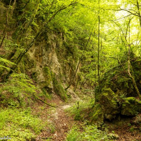 Gen. bryg. Bronisław Rakowski – w 75. rocznicę śmierci
