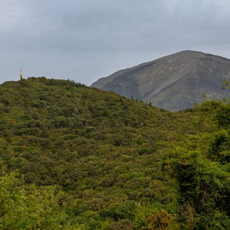 Wachmistrz Antoni Niewęgłowski – 70 rocznica śmierci