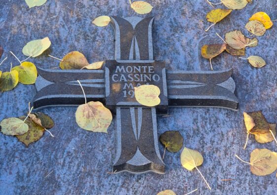 Prof. Witold Żdanowicz - strażnik pamięci o 2 Korpusie Polskim