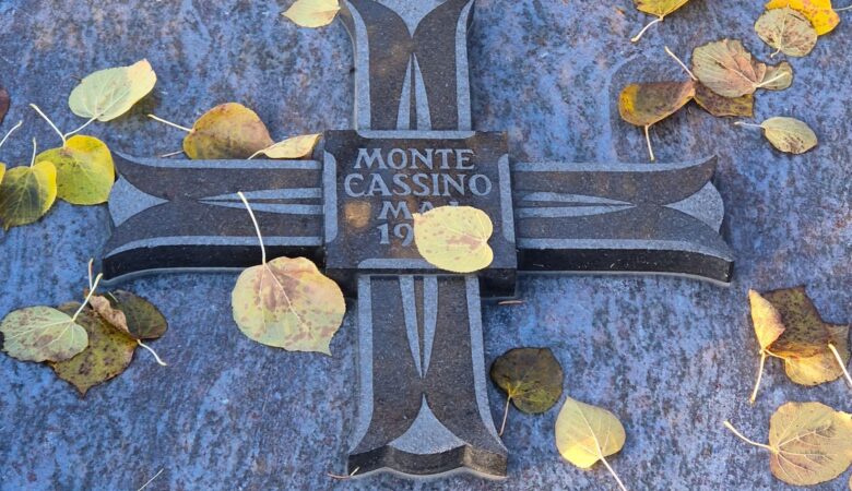 Prof. Witold Żdanowicz - strażnik pamięci o 2 Korpusie Polskim