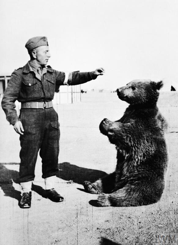 Niedźwiedź Wojtek  © IWM (HU 16546) 