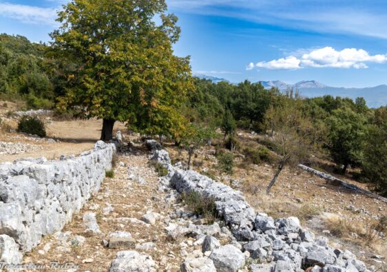 Poznaj cztery propozycje trekkingu patriotycznego w okolicach Monte Cassino i wybierz trasę dopasowaną do swoich możliwości.