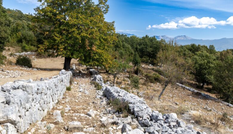 Poznaj cztery propozycje trekkingu patriotycznego w okolicach Monte Cassino i wybierz trasę dopasowaną do swoich możliwości.
