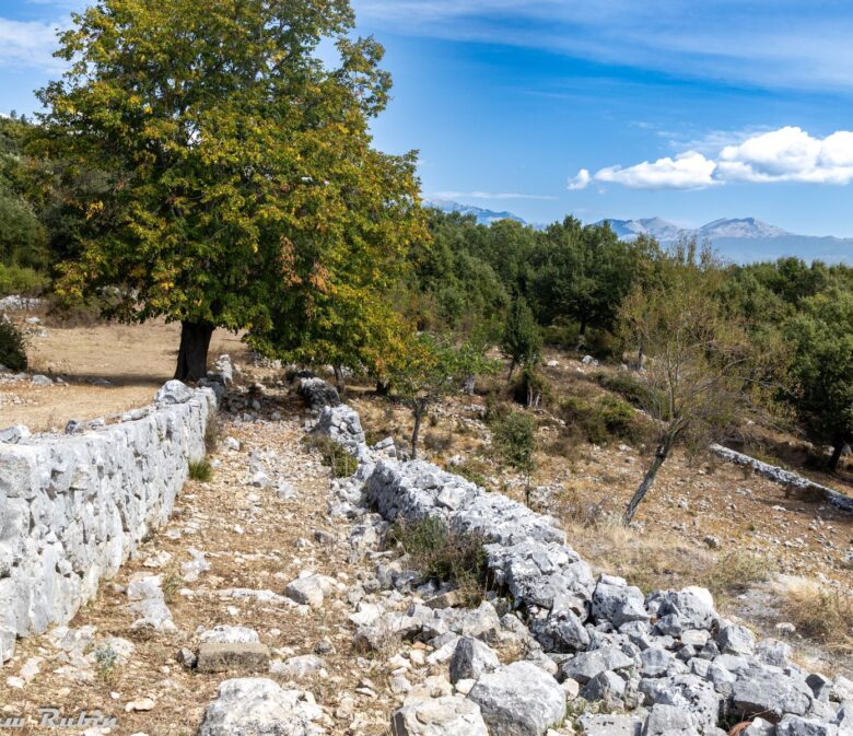 Poznaj cztery propozycje trekkingu patriotycznego w okolicach Monte Cassino i wybierz trasę dopasowaną do swoich możliwości.