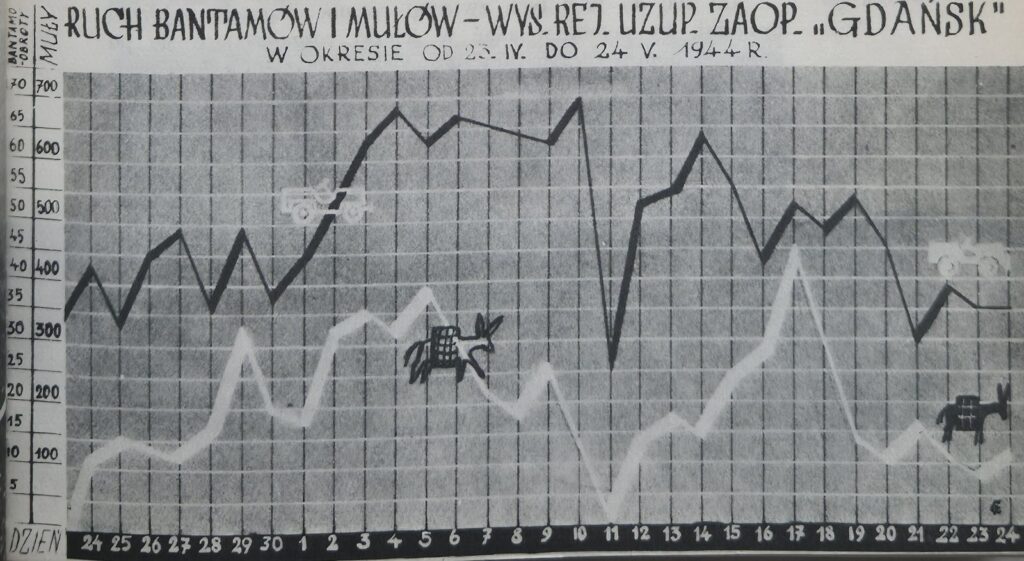 Ruch bantamów i mułow