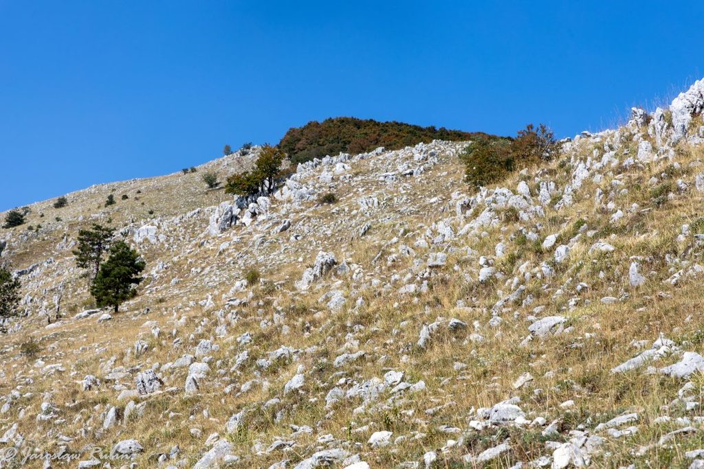 Szlak na Monte Cairo